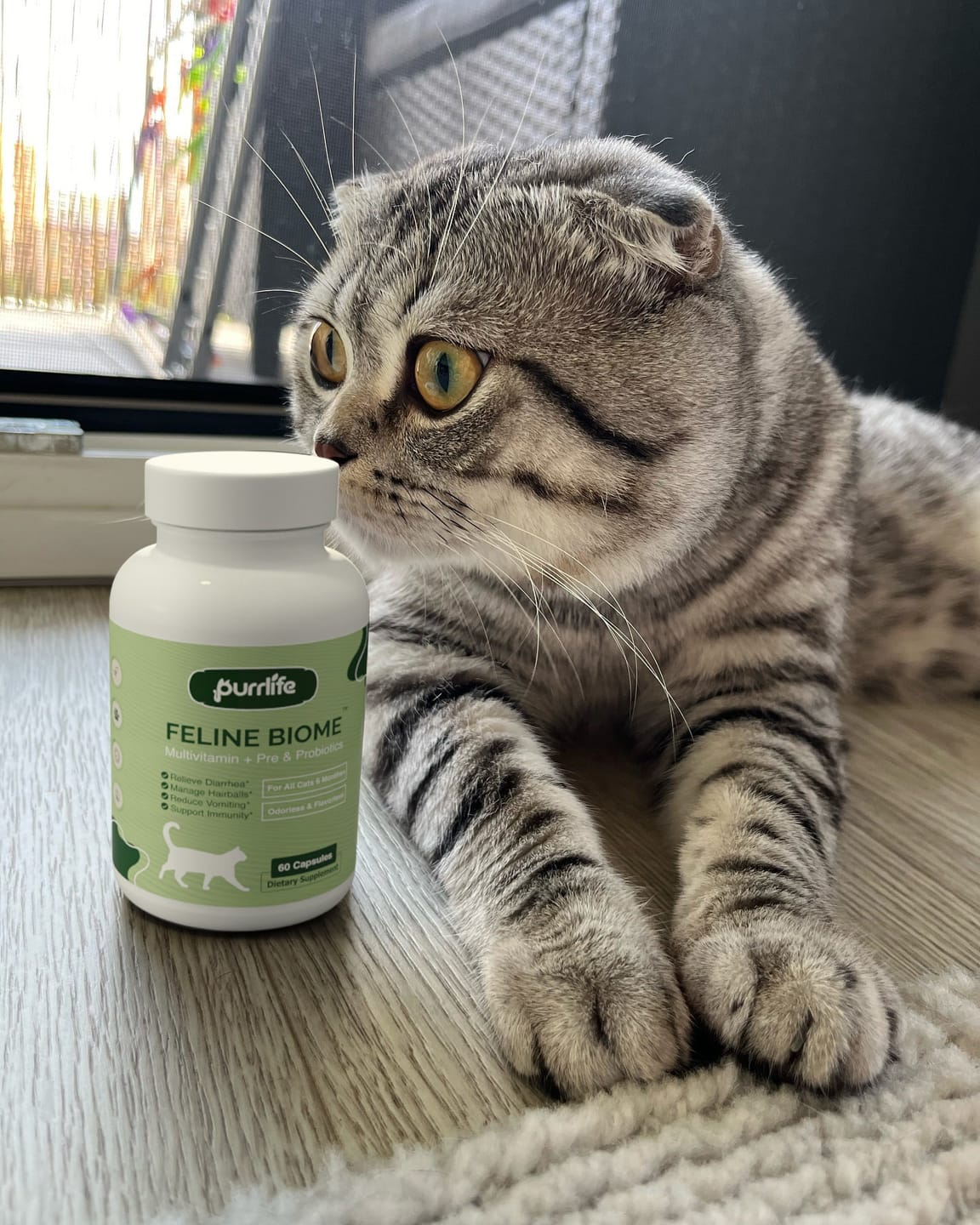 Customer photo review of Feline Biome™ - Probiotic Cat Supplement