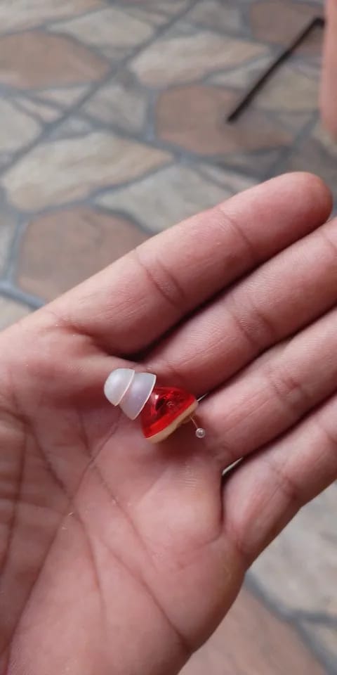 Customer photo review of Rechargeable Hearing Aid