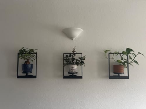 Customer photo review of Planty®