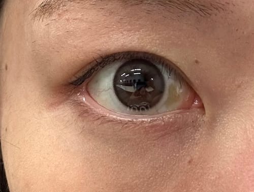 Customer photo review of A to Z Kristin 1Day (13.0) - ブラウン