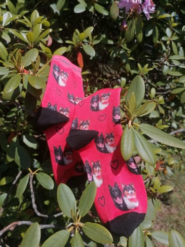 undefined review of Personalisierte Socken mit deinem Haustier image 1 out of 1