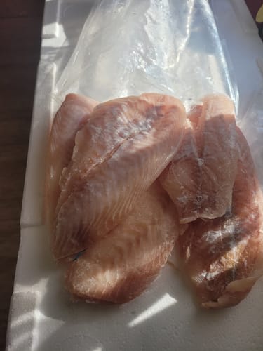 Customer photo review of 5KG Tarakihi Fillets Frozen (Skinned and Boned)