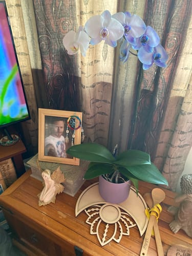 Customer photo review of Lotus Moon Crystal Tray