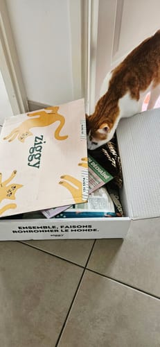 Avis photo d'un client sur Croquettes Chat Stérilisé Sans Céréales - Saumon