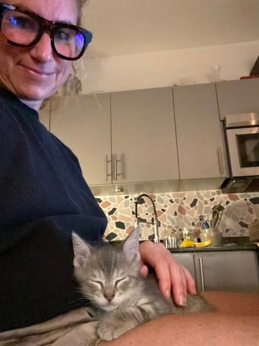 Customer photo review of Feline Biome™ - Probiotic Cat Supplement
