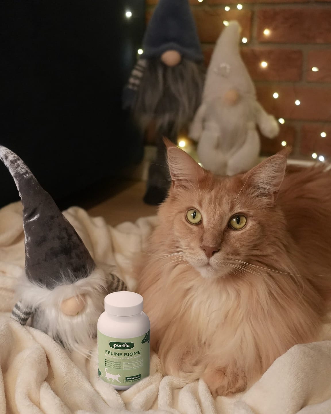 Customer photo review of Feline Biome™ - Probiotic Cat Supplement