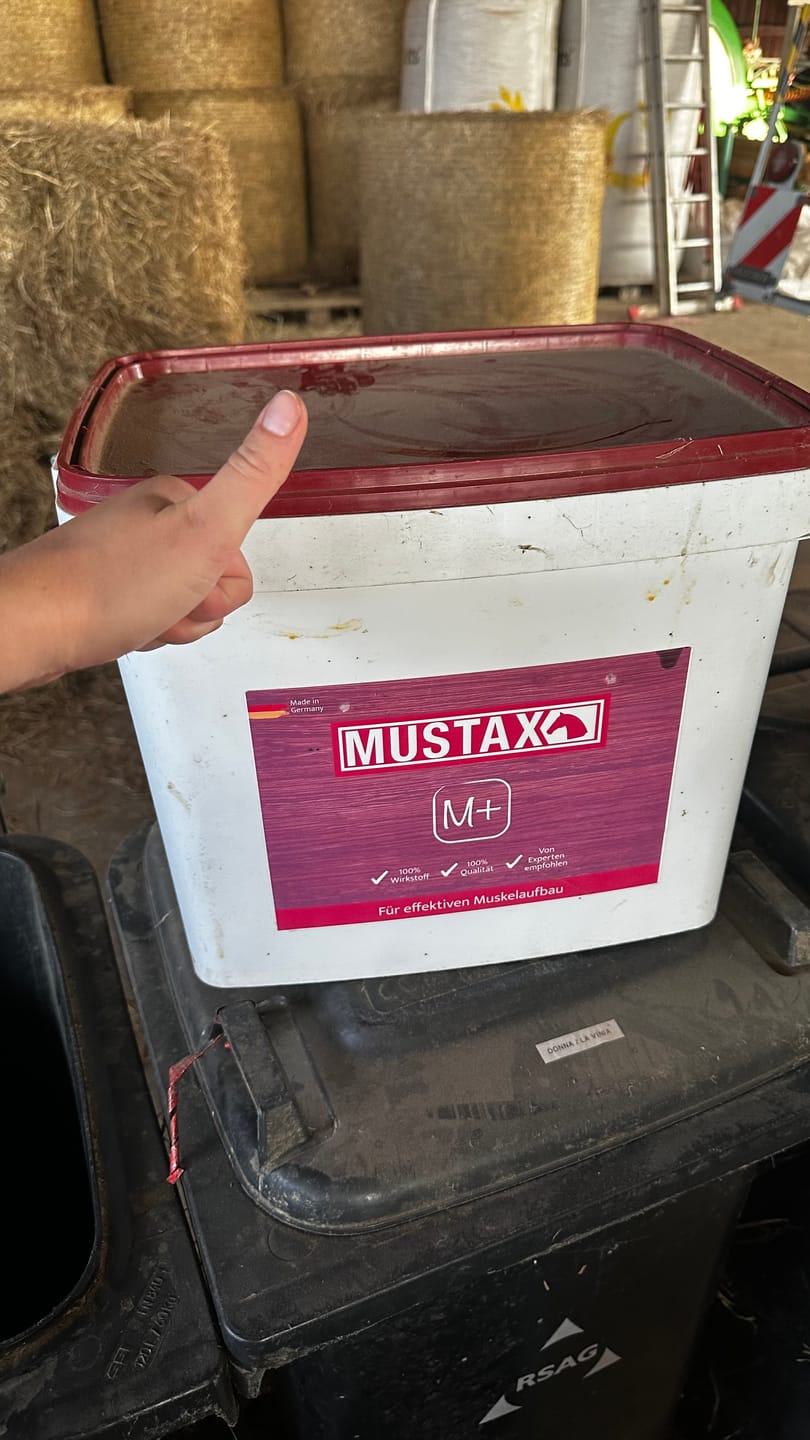 Customer photo review of MUSTAX Muskel+