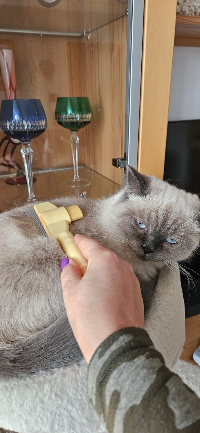 Customer photo review of Fur Lightning Brush