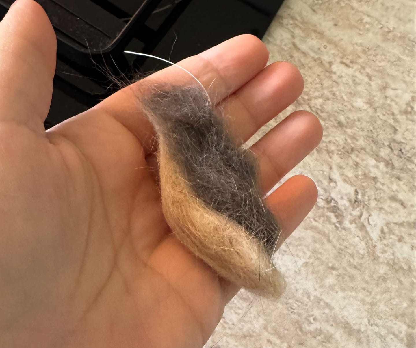 Customer photo review of Fur Lightning Brush