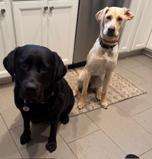 Customer photo review of Itch & Allergy