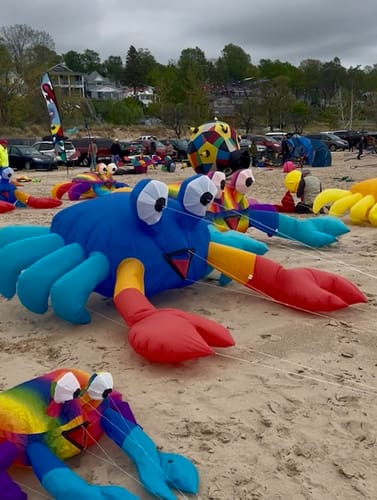 Customer photo review of Michigan State Parks - Adventure Planning Journal