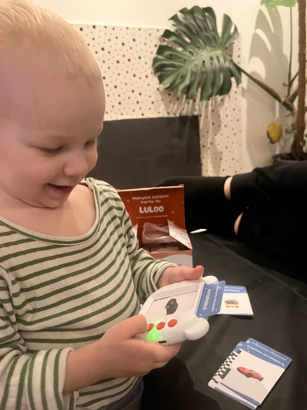 Customer photo review of „Luloo“ Lietuviškai įgarsintos lavinamosios kortelės vaikams, kalbančios lietuviškai