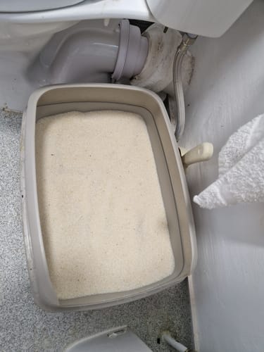 Customer photo review of 3 Month Supply - 2 Cats