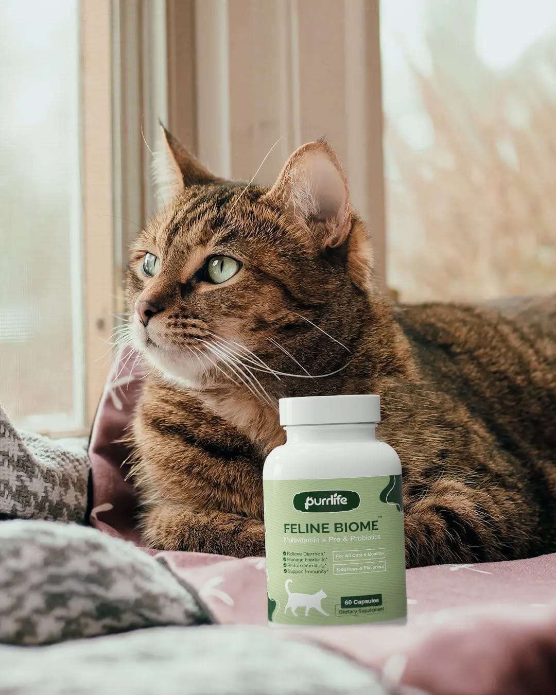 Customer photo review of Feline Biome™ - Probiotic Cat Supplement