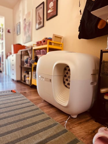 Customer photo review of Self-Cleaning Litter Box