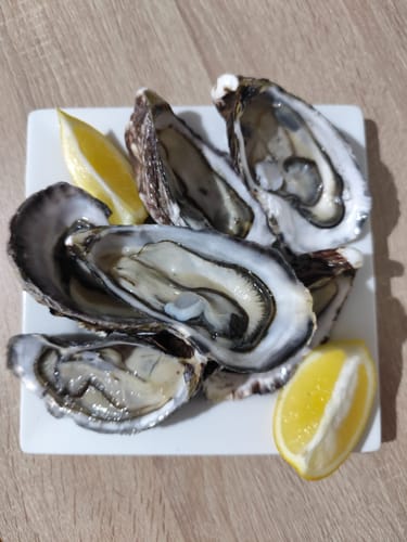 Customer photo review of Fresh NZ Oysters (Half-Shell) 6 Pieces
