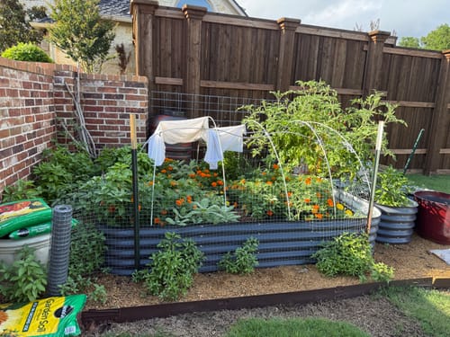 Customer photo — herb garden completely overgrown after using Elm Dirt