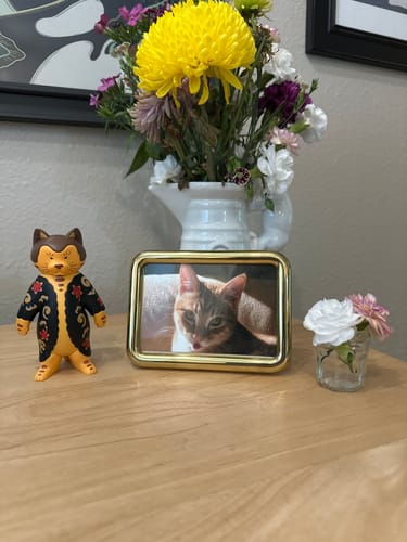 Customer photo review of Kyodai Toy