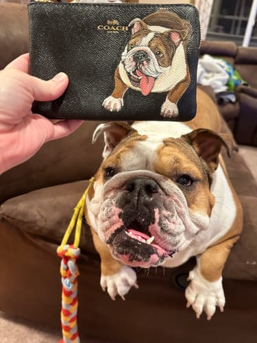 Customer photo review of Coach Wristlet with Custom Pet Portrait