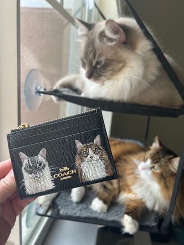Customer photo review of Coach Mini Skinny Card Wallet with Custom Pet Portrait