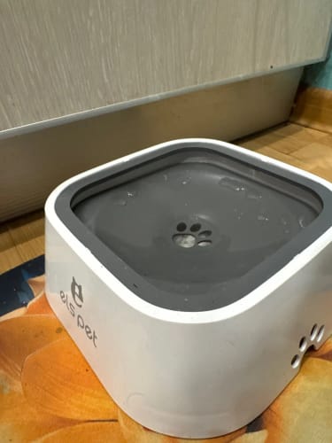 Customer photo review of SplashFree Napf