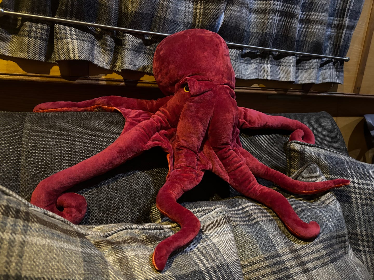 Customer photo review of Lifelike Red Octopus Soft Stuffed Plush Toy