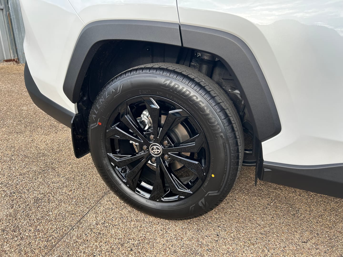 Customer photo review of Wheel Cleaner