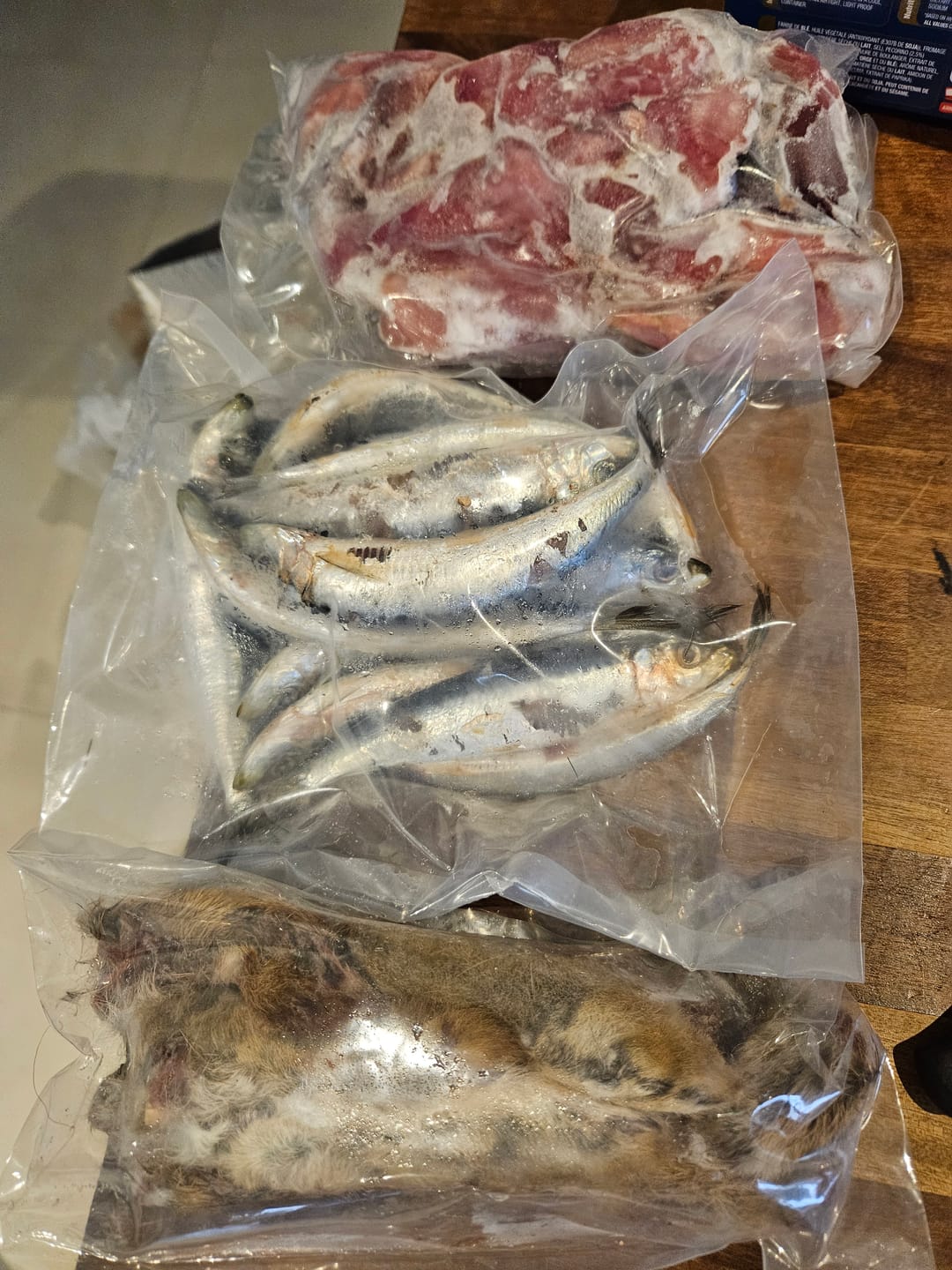 Customer photo review of Whole Sardines (500g)