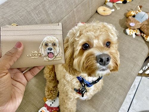 Customer photo review of Coach Wristlet with Custom Pet Portrait