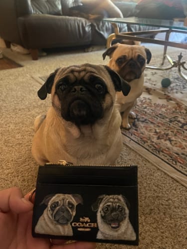 Customer photo review of Coach Mini Skinny Card Wallet with Custom Pet Portrait