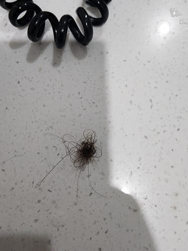 Customer photo review of Rosemary & Castor Oil for Hair Growth