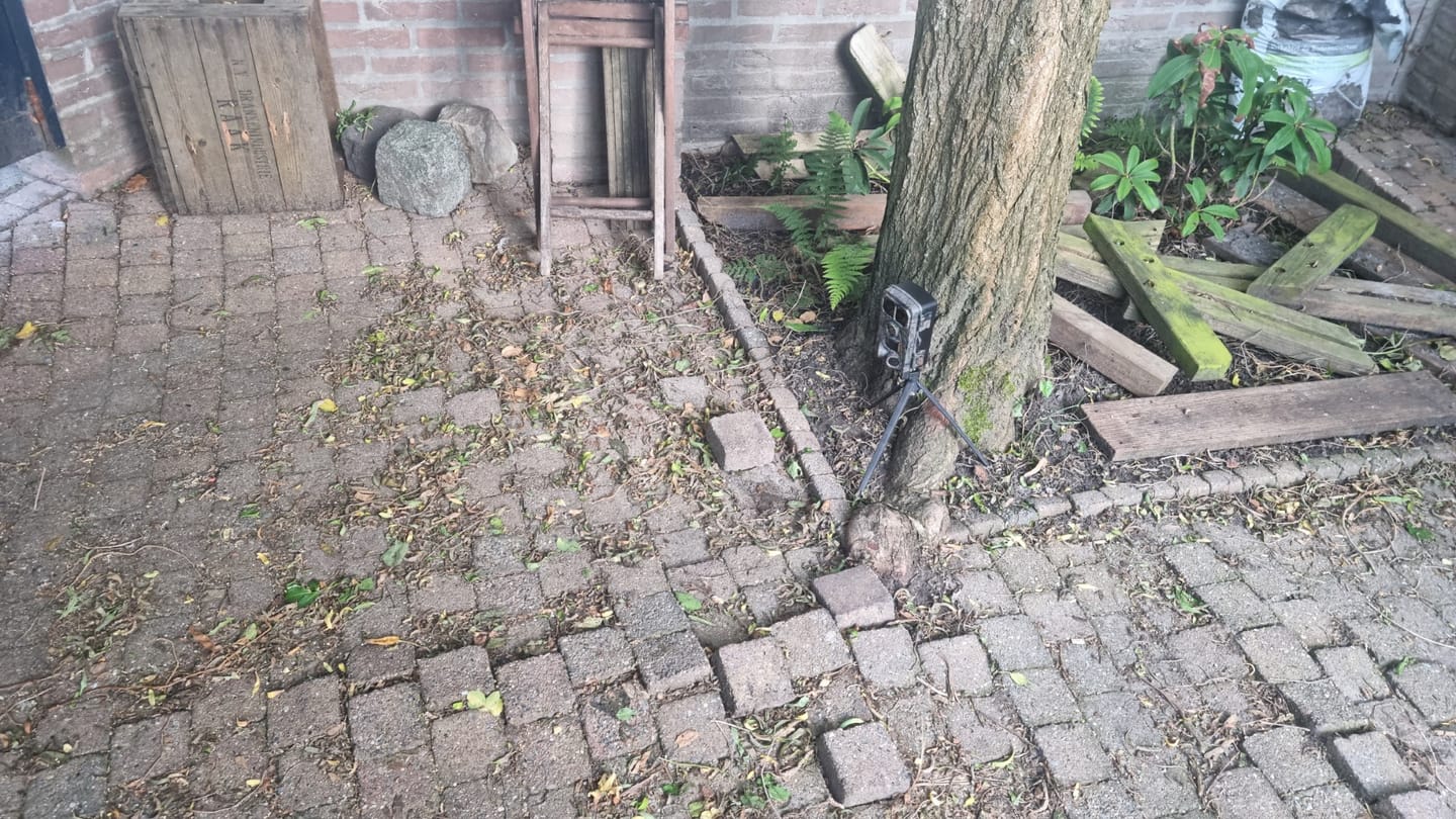 Customer photo review of Siltcon® Wildcamera met Nachtzicht 4K - Waterdicht