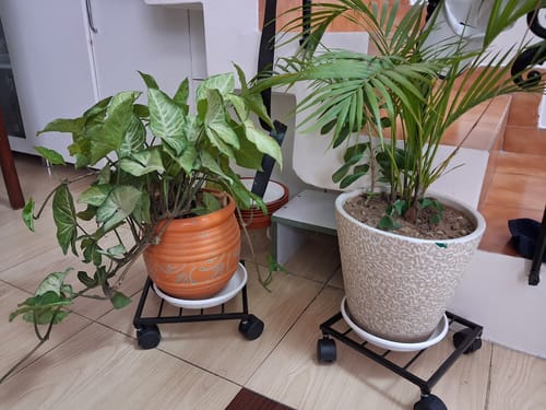Customer photo review of United Crafts Rozy Wheel Pot Stands for Planters