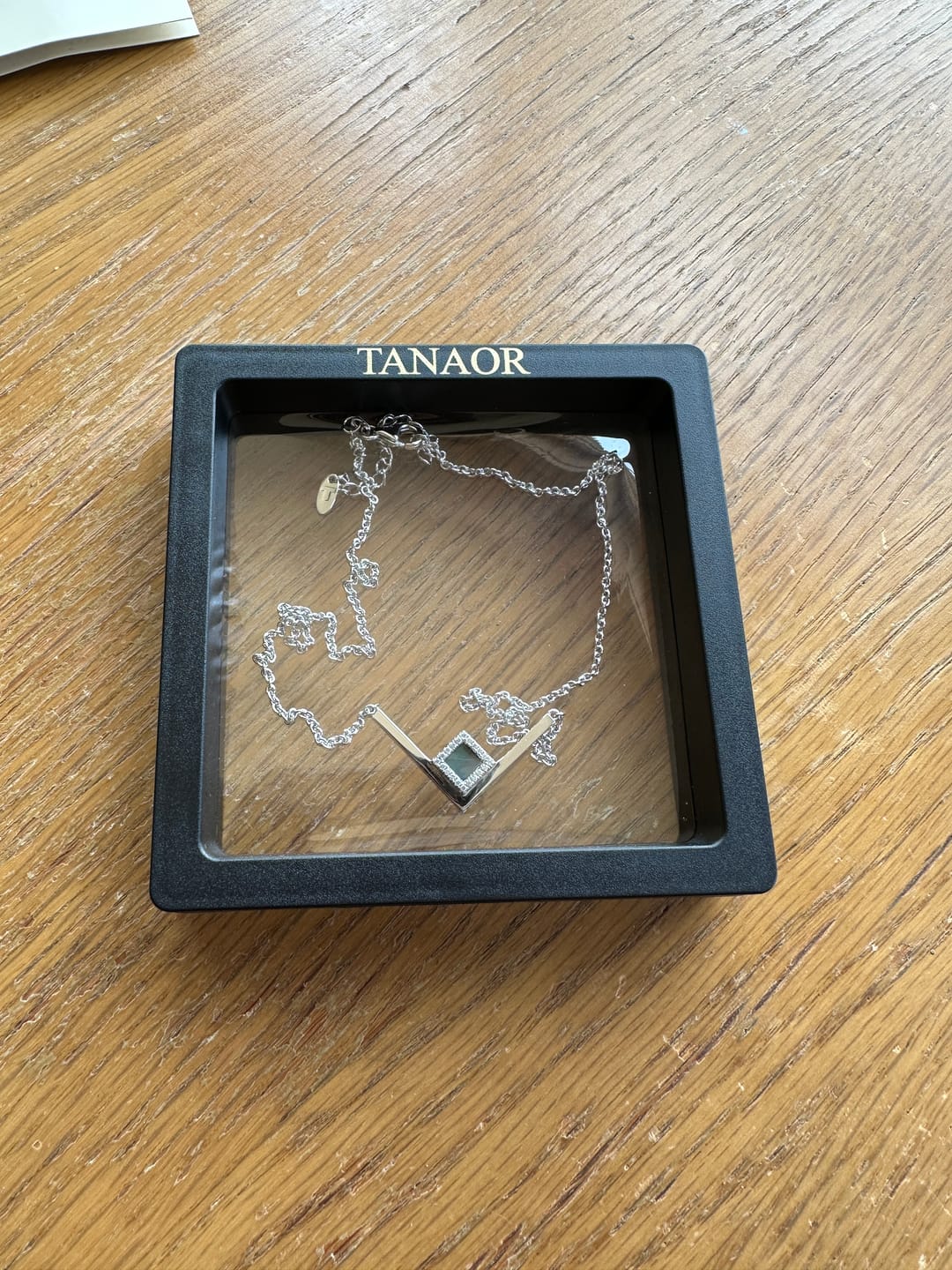 Customer photo review of V Shiny Necklace