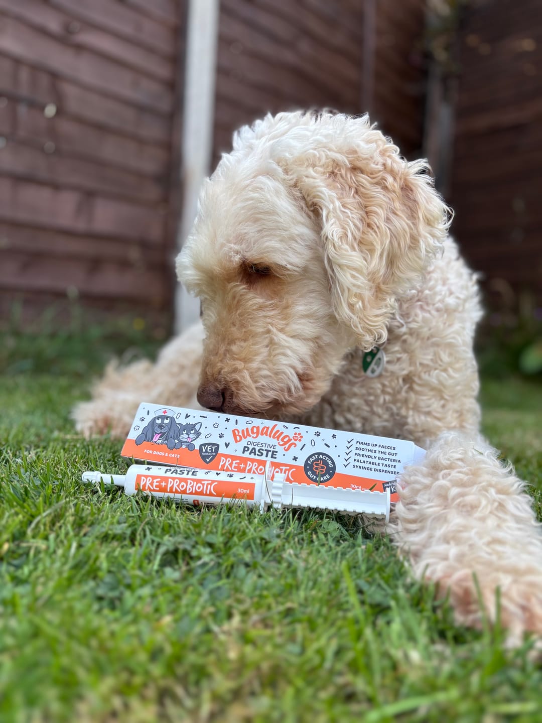 Customer photo review of Bugalugs Pre & Probiotic Digestive Paste for Dogs & Cats (30ml)