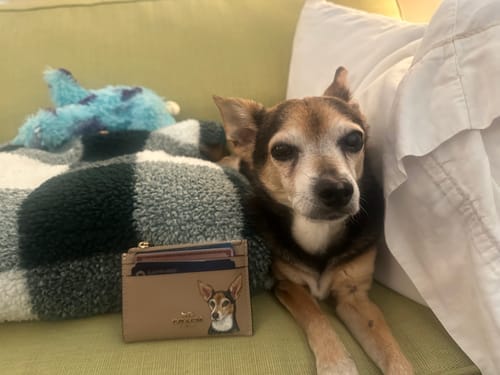 Customer photo review of Coach Mini Skinny Card Wallet with Custom Pet Portrait