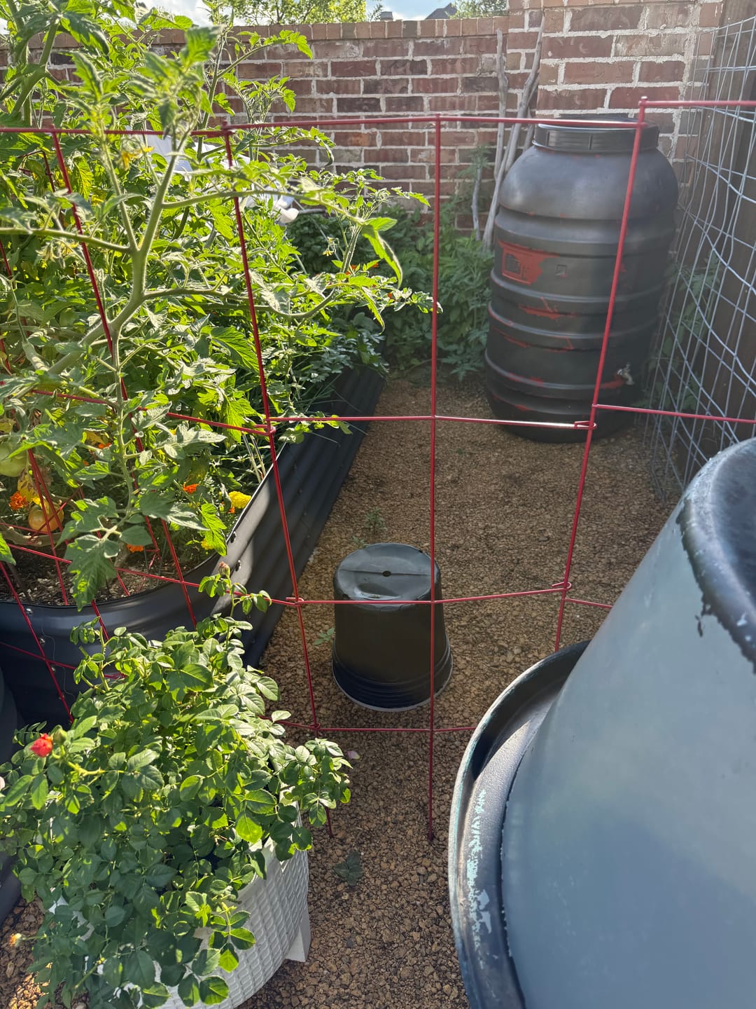 Customer photo review of Worm Castings