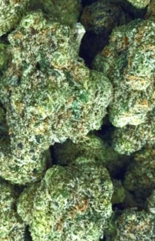 Customer photo review of THCA Queen