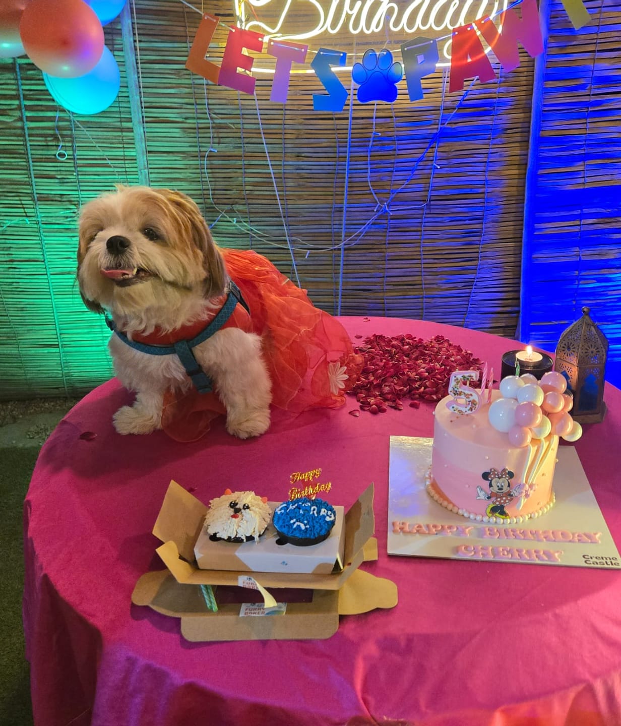 Customer photo review of Minnie Mouse 1st Birthday Cake