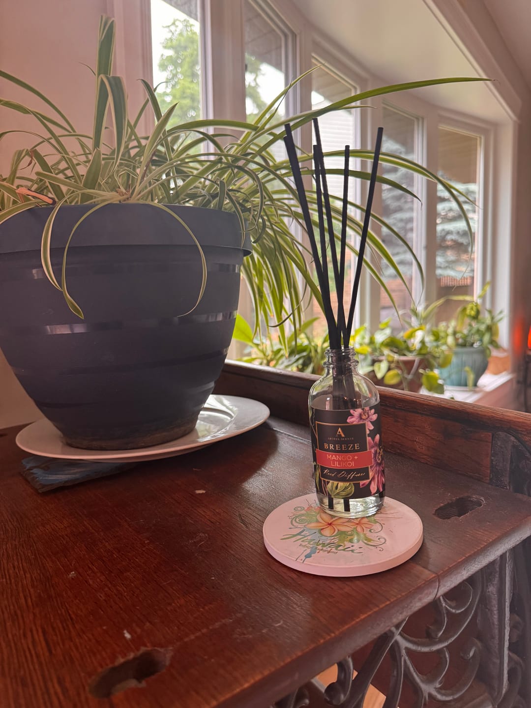Customer photo review of REED DIFFUSERS