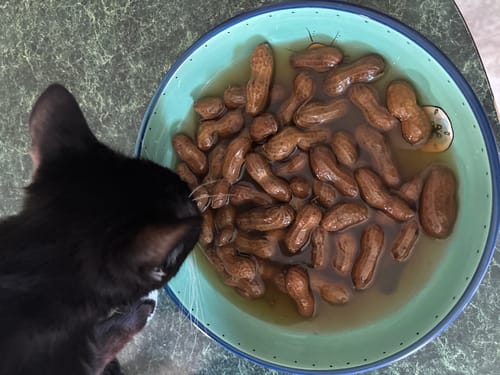 Customer photo review of Boil-The-Bag Boiled Peanuts (2 Bags)