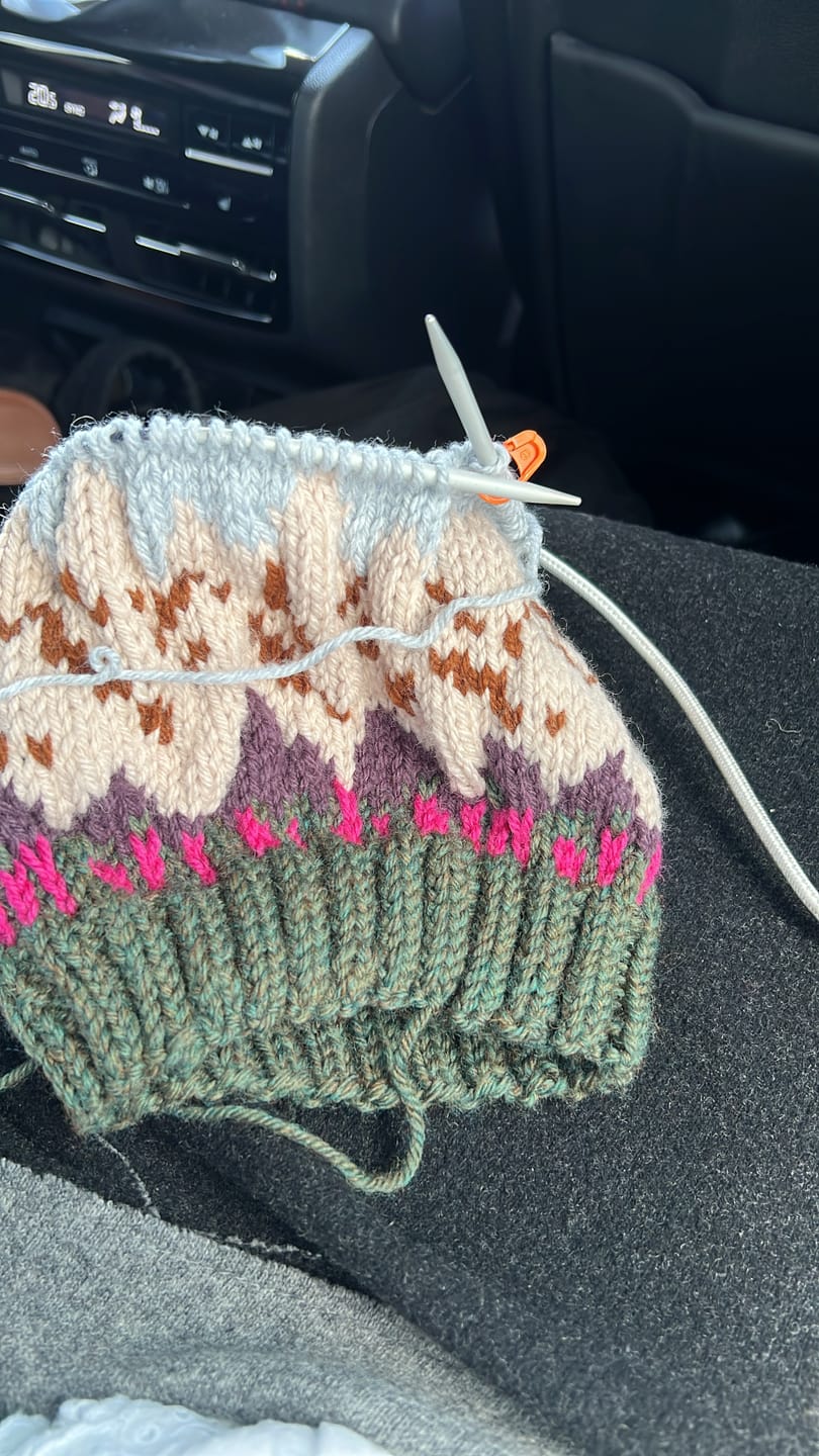 Customer photo review of Cascade 220 Superwash Wool Knitting Yarn