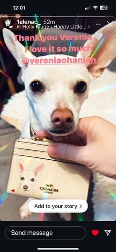Customer photo review of Coach Mini Skinny Card Wallet with Custom Pet Portrait
