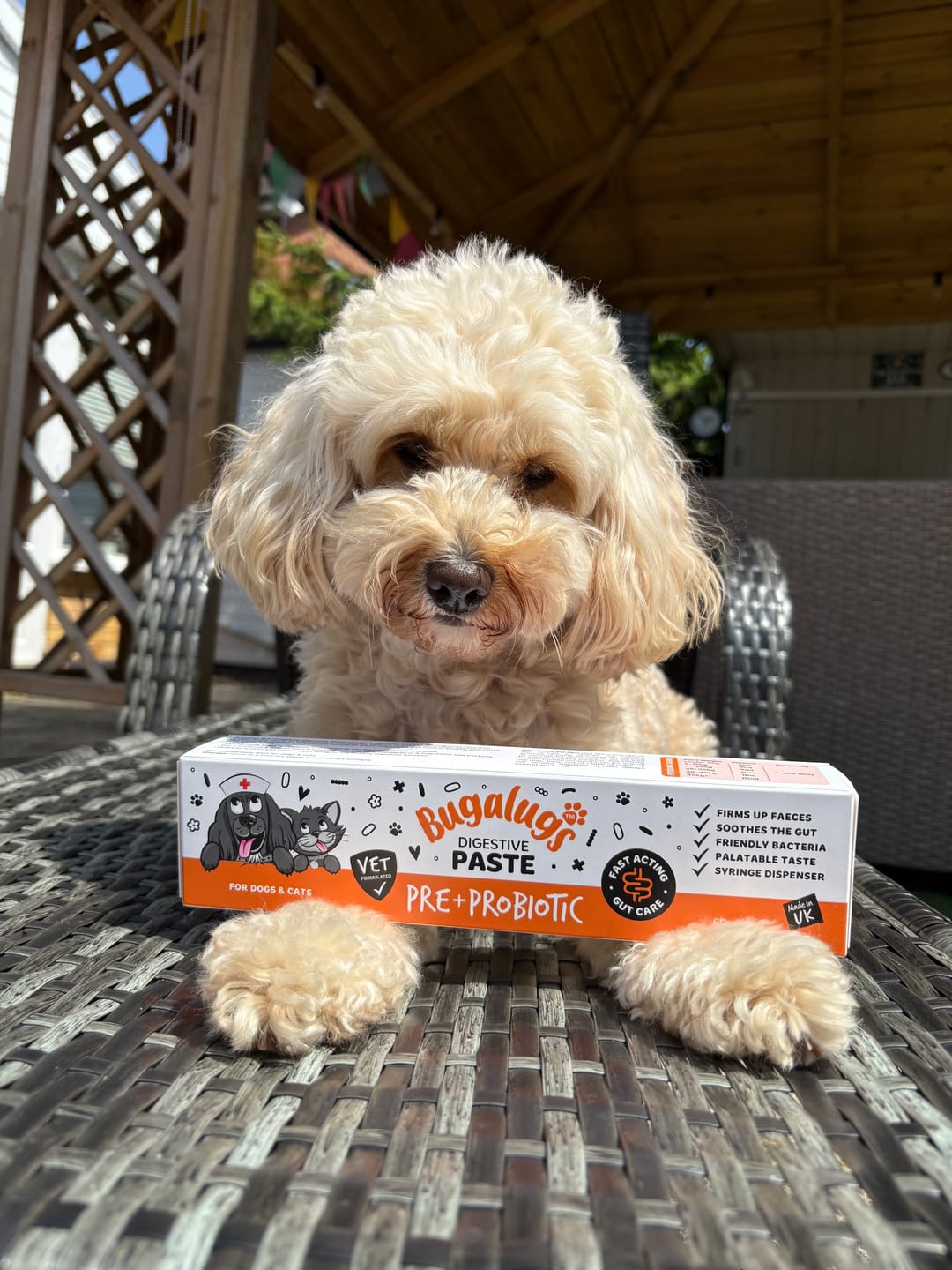Customer photo review of Bugalugs Pre & Probiotic Digestive Paste for Dogs & Cats (30ml)