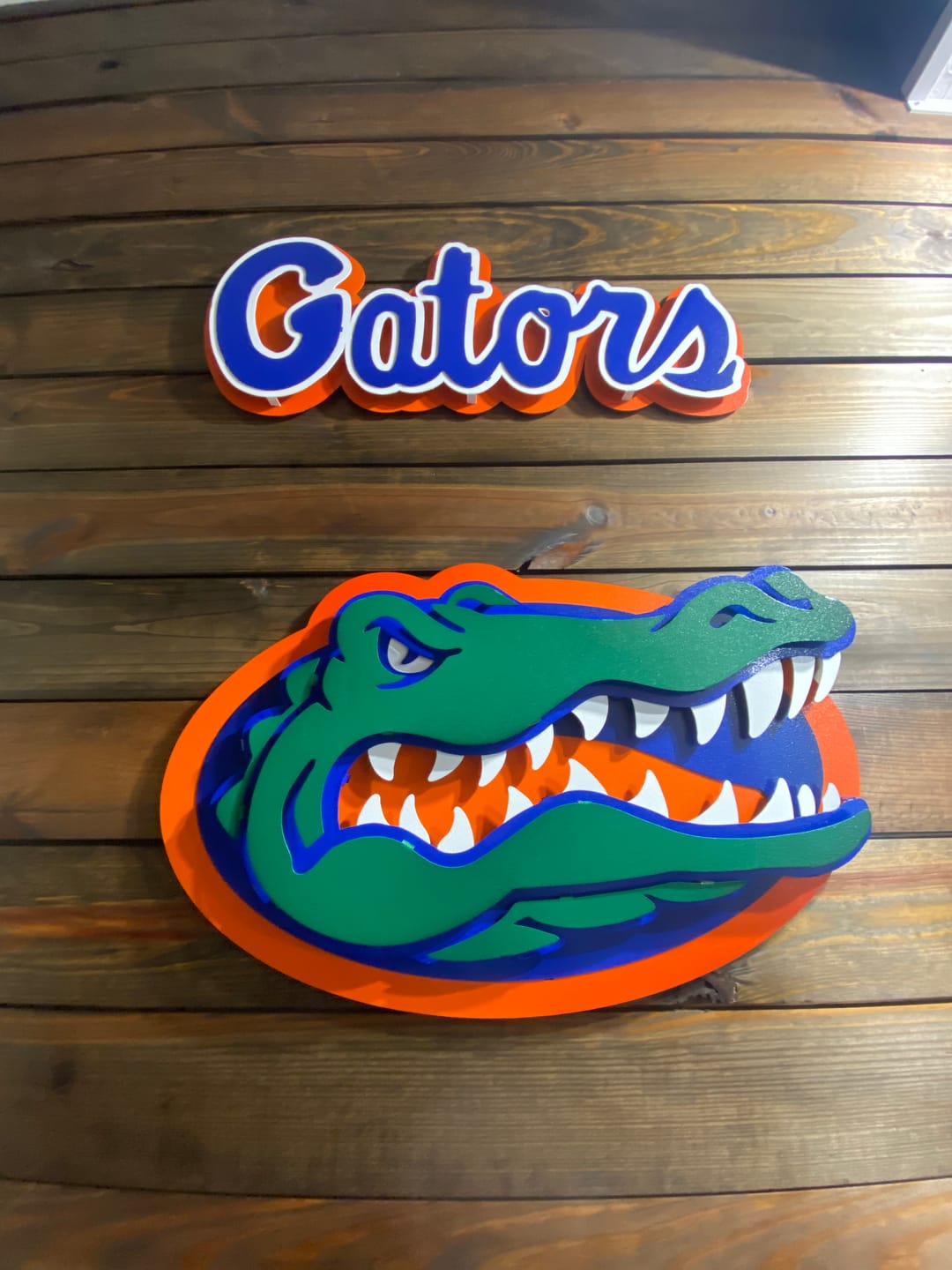 Customer photo review of Florida Gators "GATOR HEAD"  3D Vintage Metal Wall Art