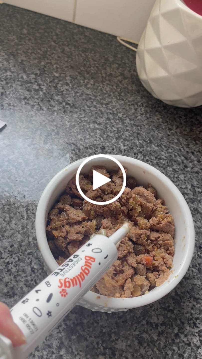 Customer video review of Bugalugs Pre & Probiotic Digestive Paste for Dogs & Cats (30ml)