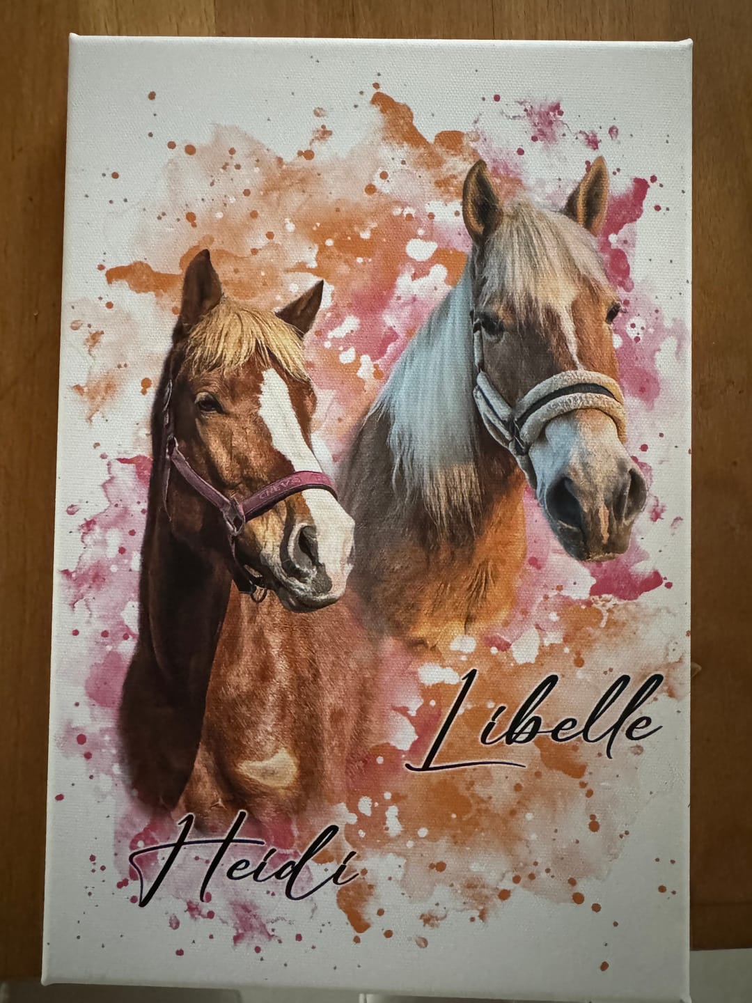 Customer photo review of Dein Pferd als Wasserfarben Portrait