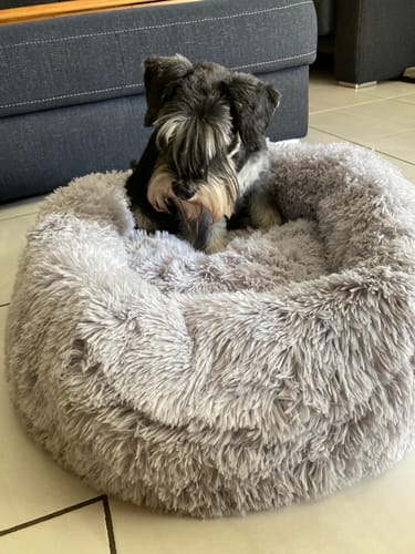 Customer photo review of Puppery Hundebett Wolke 7 - Das Original
