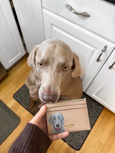 Customer photo review of Coach Mini Skinny Card Wallet with Custom Pet Portrait