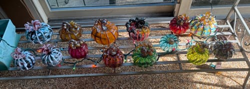 Customer photo review of Daily Pumpkin 2463 Squat
